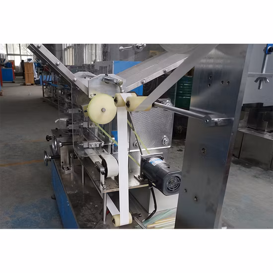 BOPP Film Straw Packing Machine
